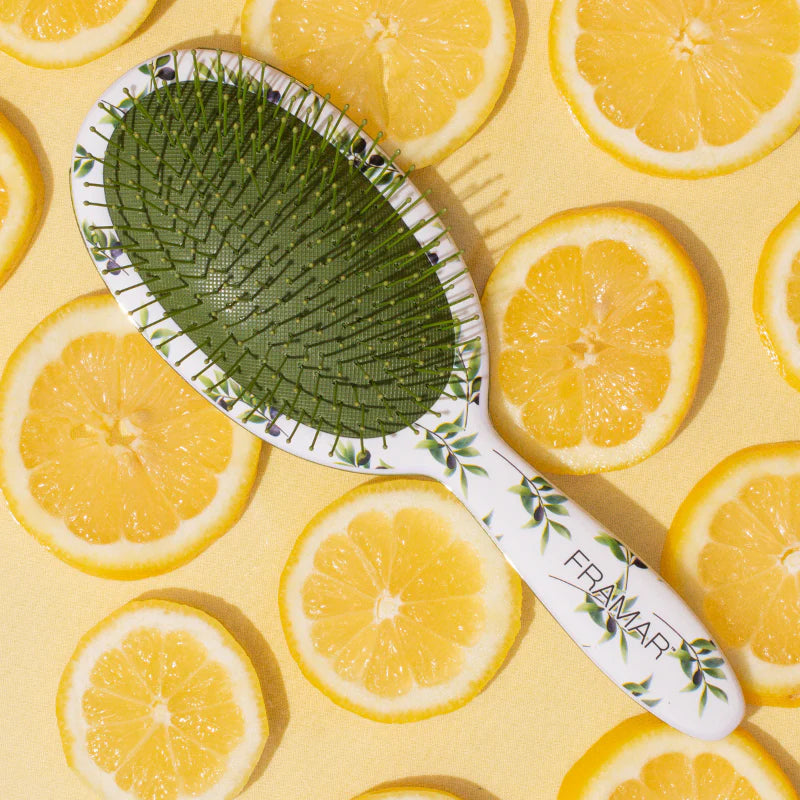 Framar Detangle Brush - Positano